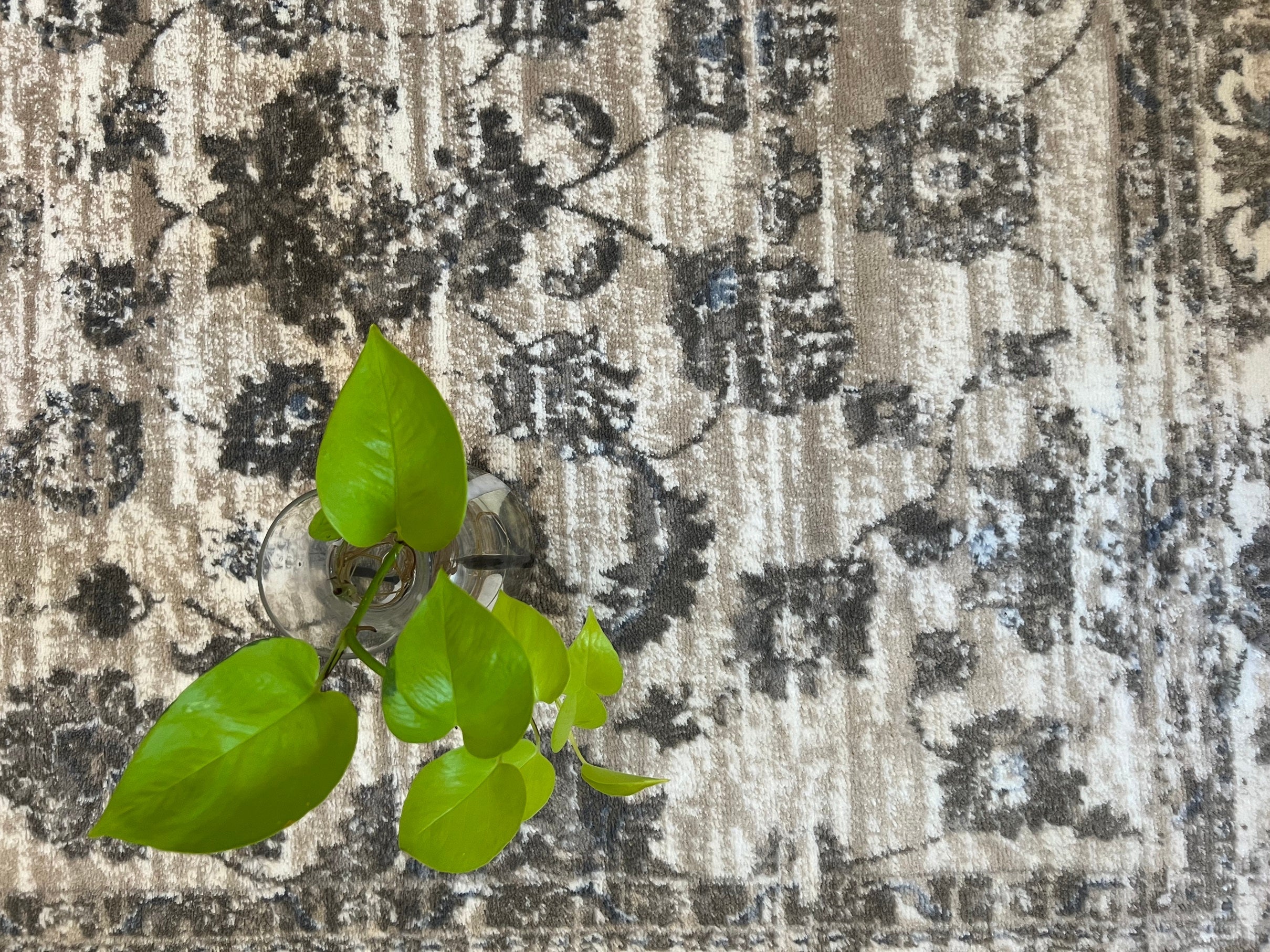 ROY's Home Flower Garden Design Area Rugs, Vintage Effect Lines