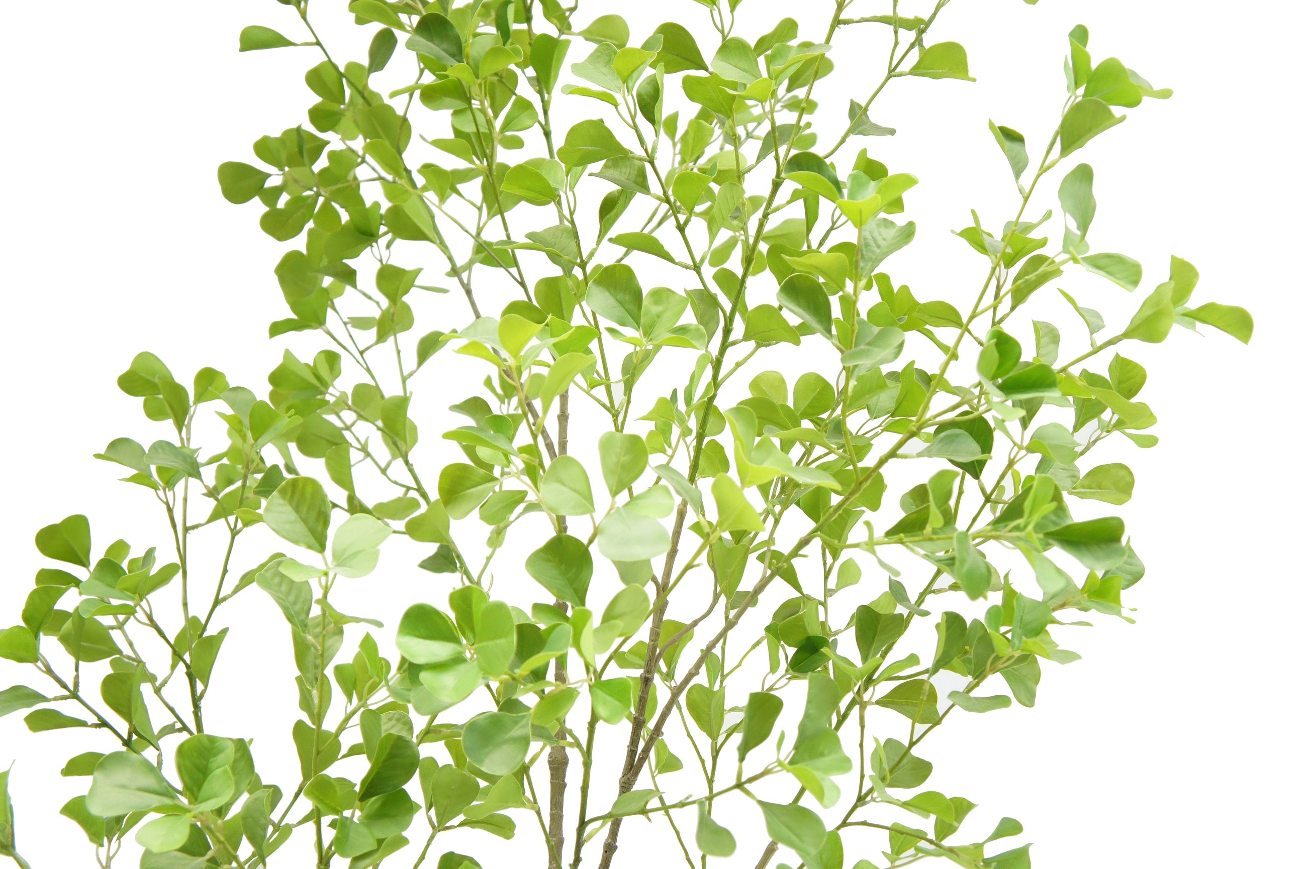 Artificial indoor ficus tree for modern home decor