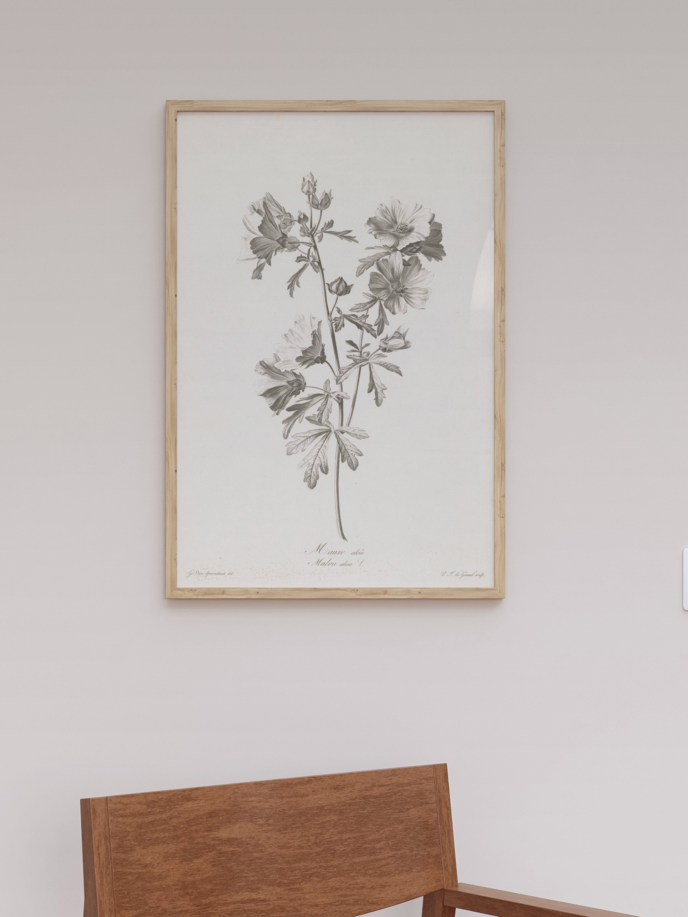 Floral Drawing