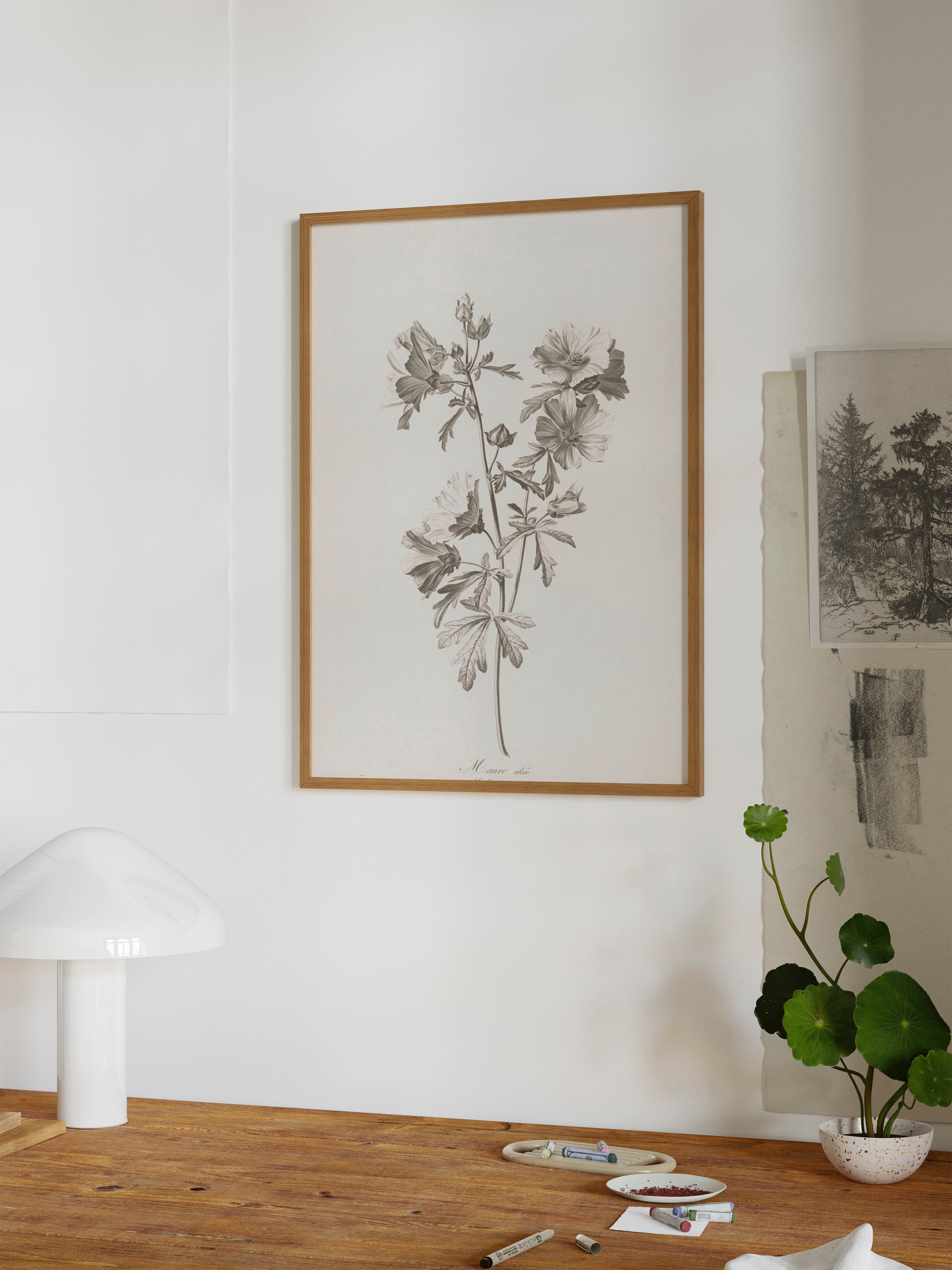 Floral Drawing
