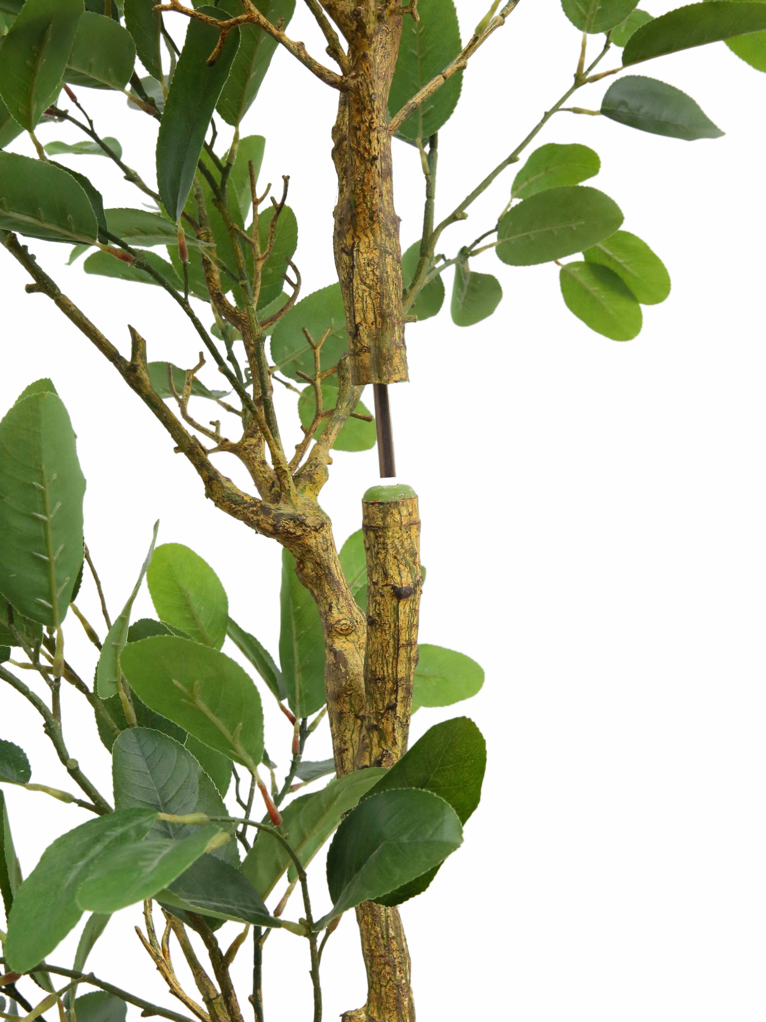 84" Citrus Lemon Tree