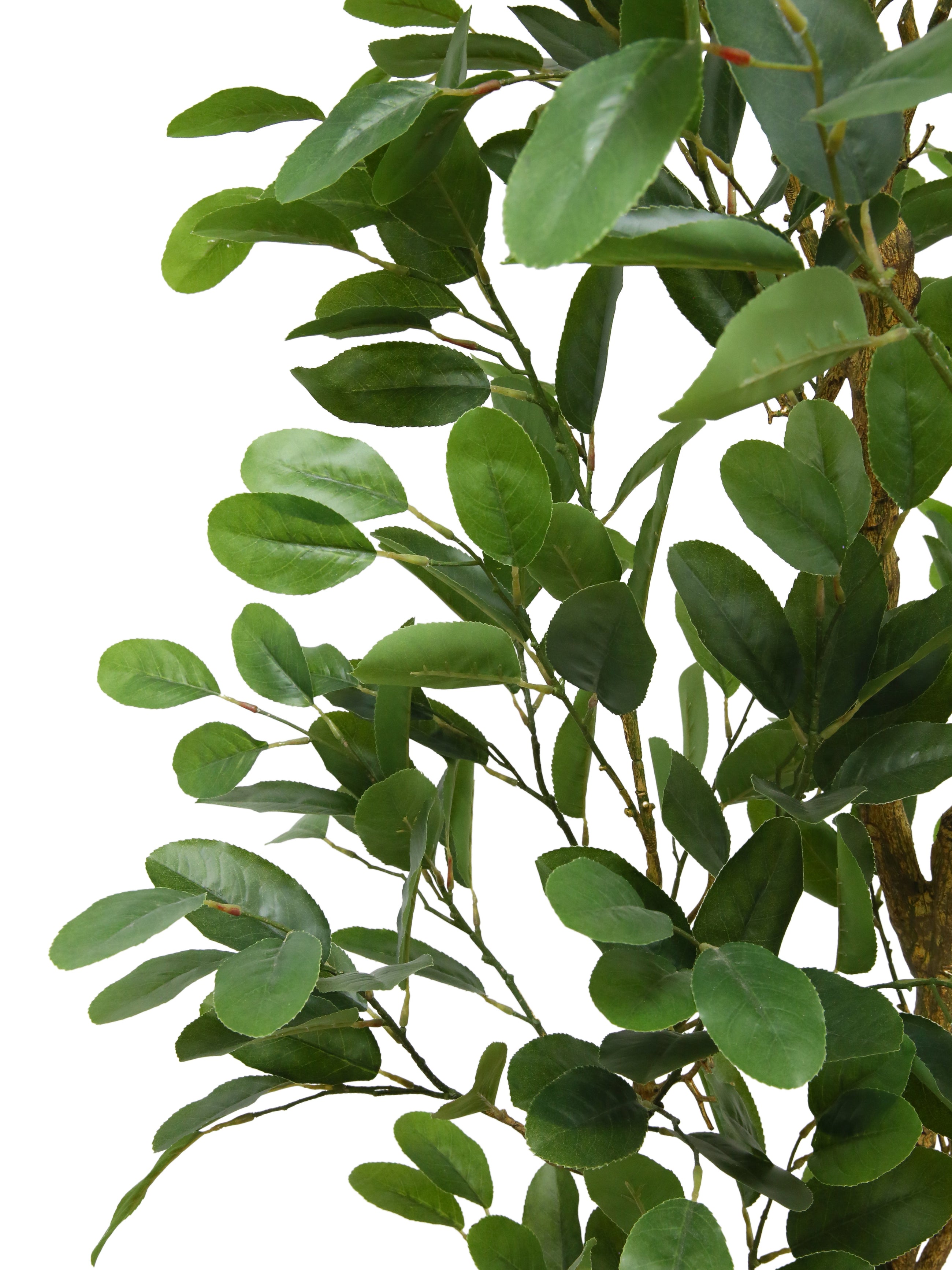 84" Citrus Lemon Tree