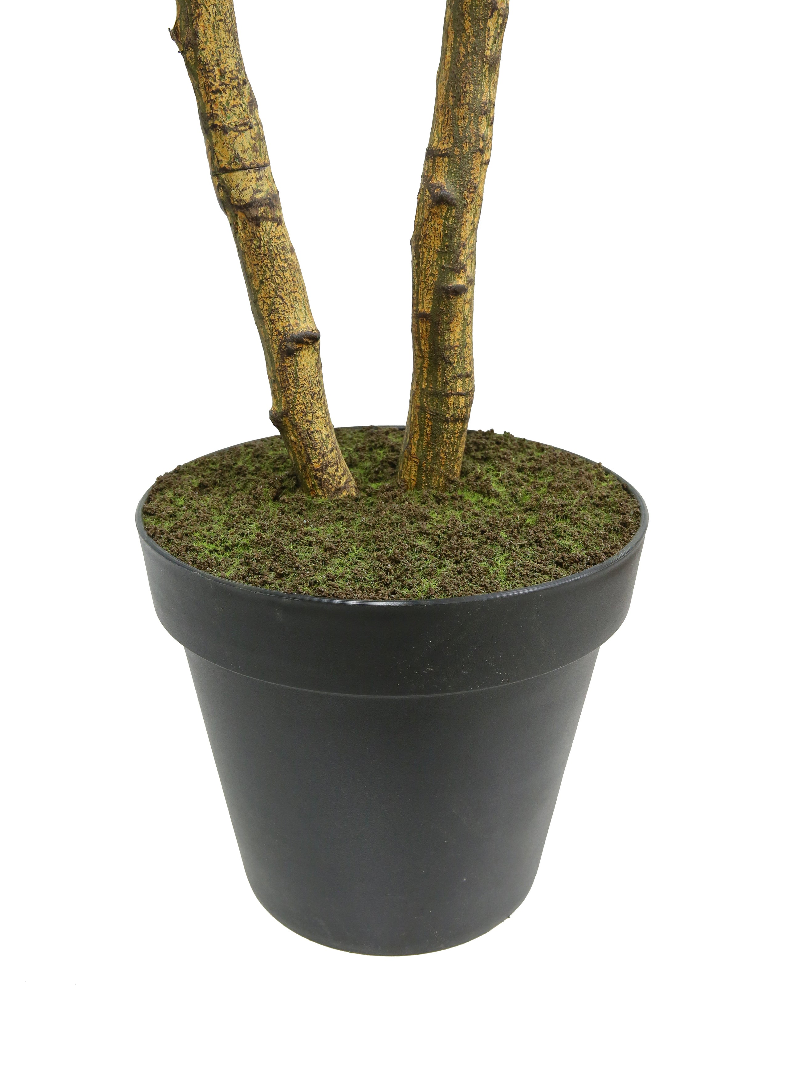 84" Citrus Lemon Tree