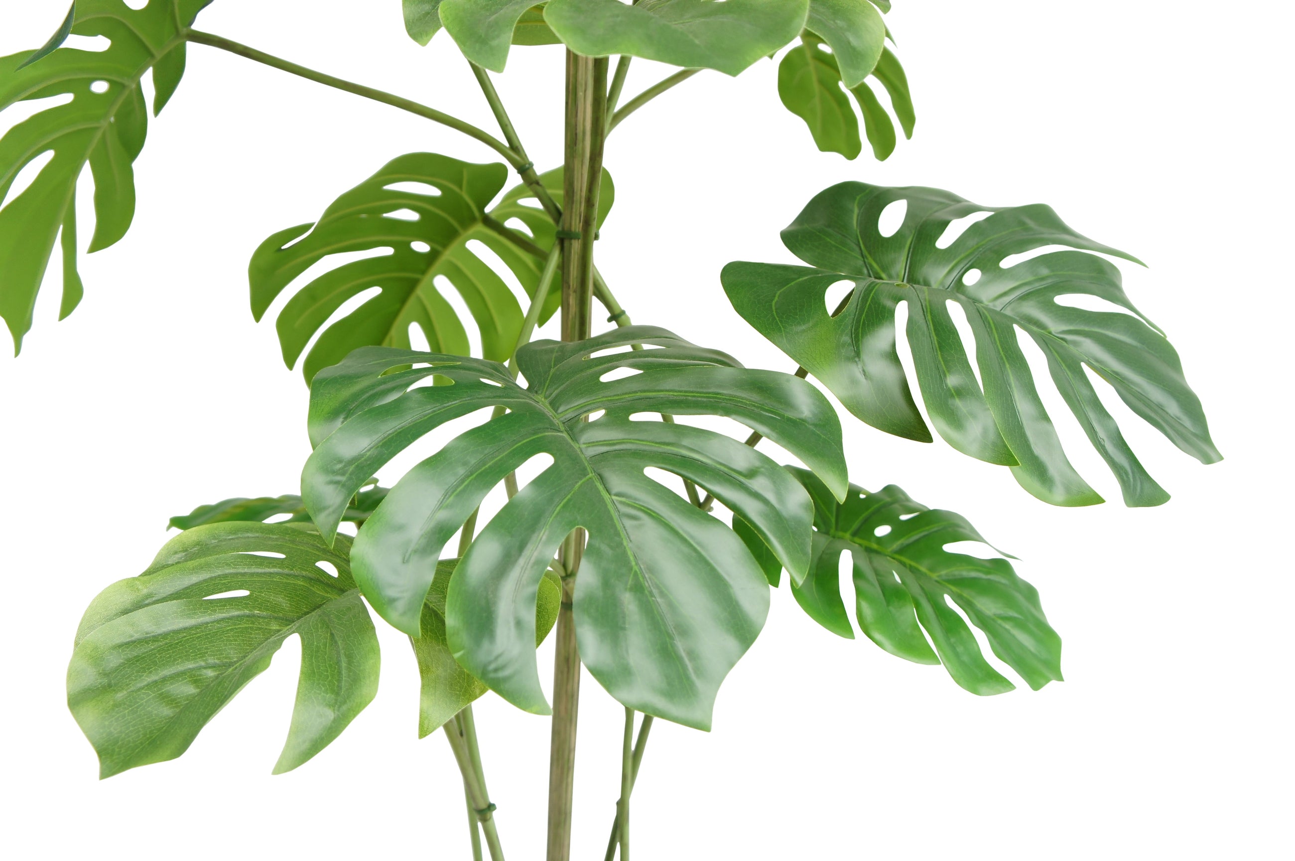 CG Hunter 60"Monstera tree styled in living room