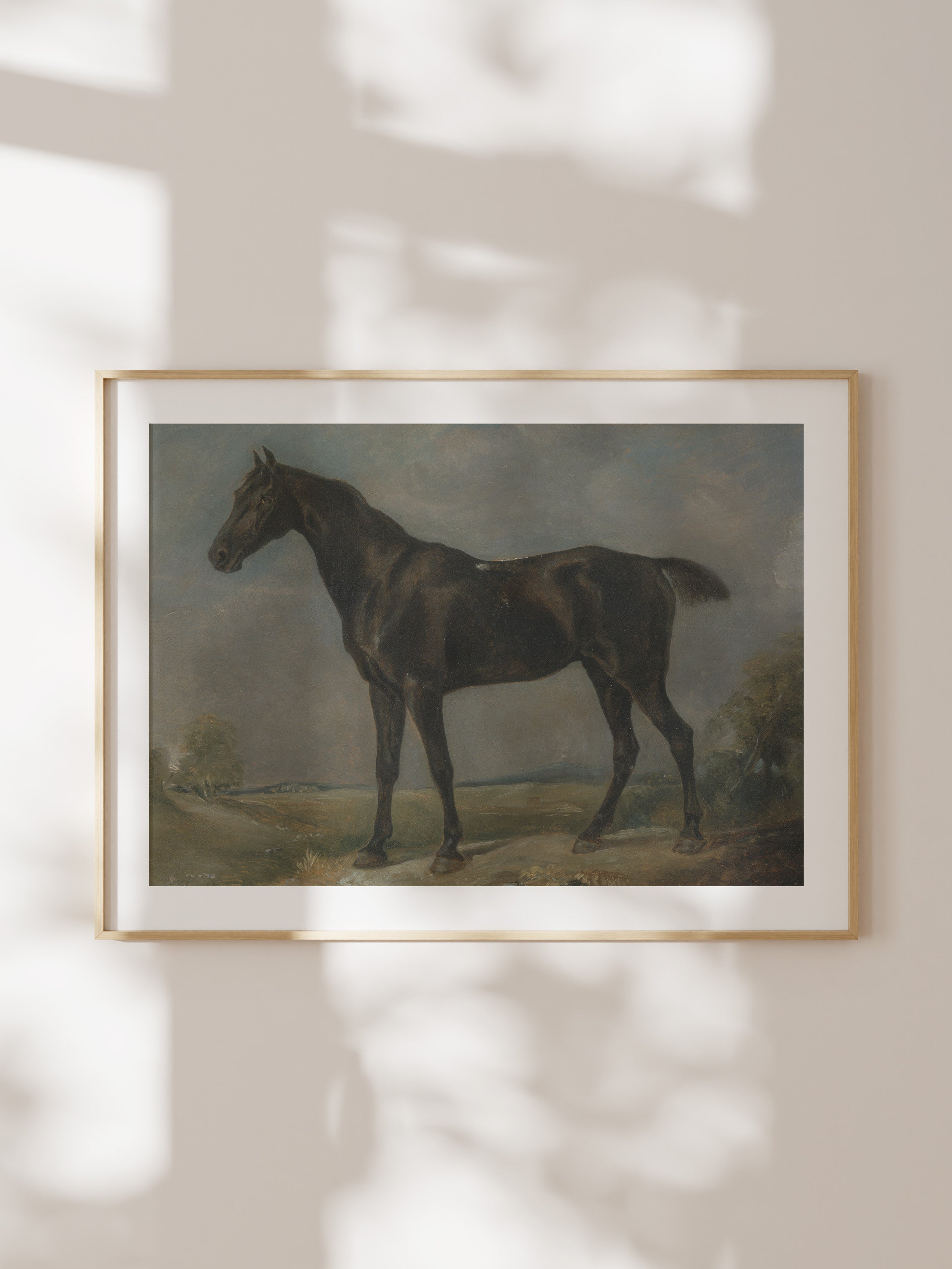 Study of a Horse II