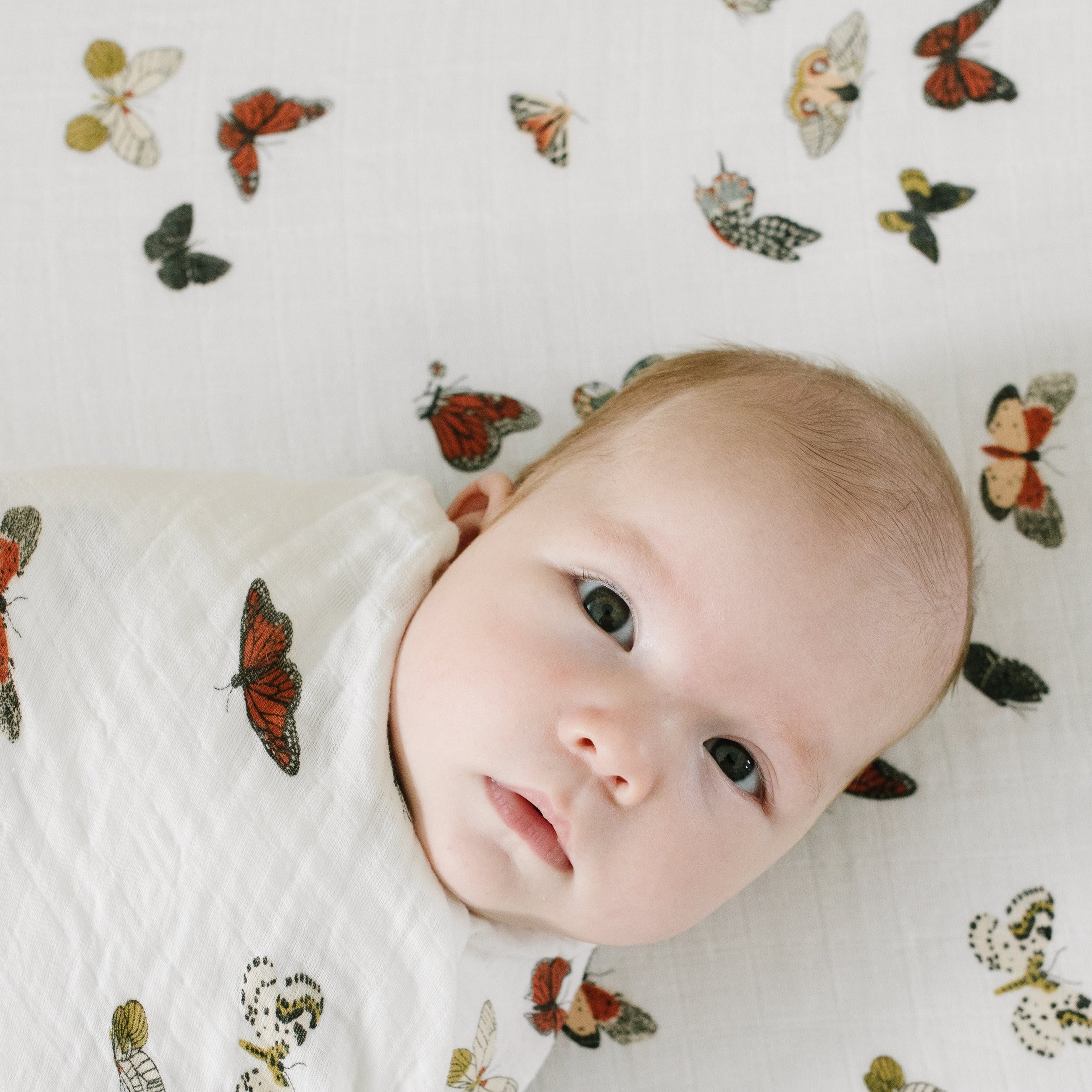 Butterfly Migration cotton muslin crib sheet styled in nursery