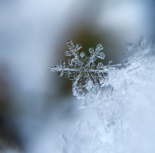 Close up of a single snowflake 