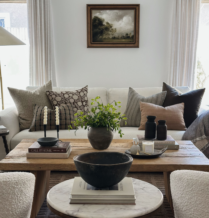 one affirmation designer pillow covers on sofa in living room