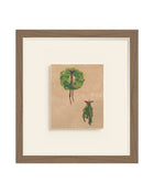 Wreath I painterly evergreen wreath art print
