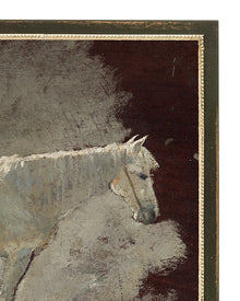 Study of a Horse