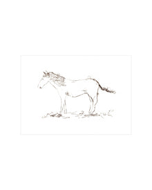 Horse Drawing