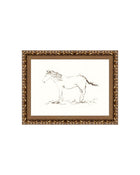 Horse Drawing