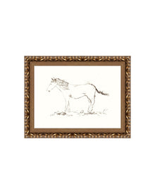 Horse Drawing