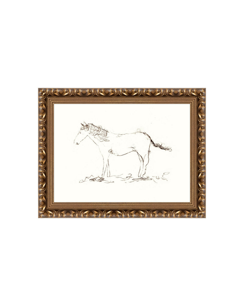 Horse Drawing