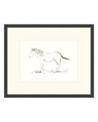 Horse Drawing