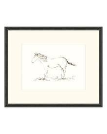 Horse Drawing