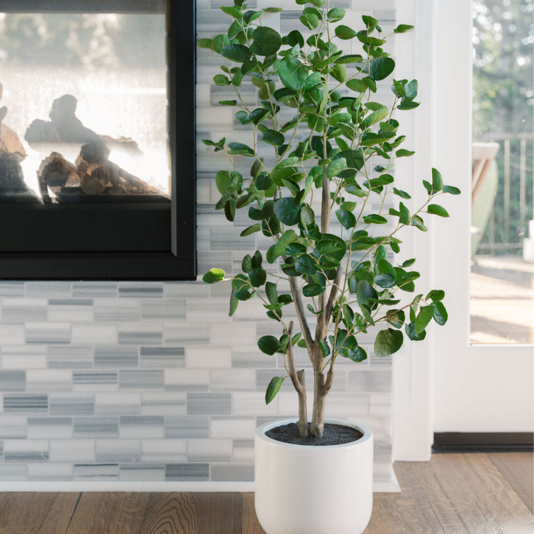 potted indoor eucalyptus plant Faux Potted Eucalyptus Tree, 4 ft