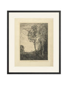 Trees Study Sketch