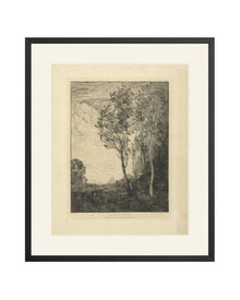 Trees Study Sketch