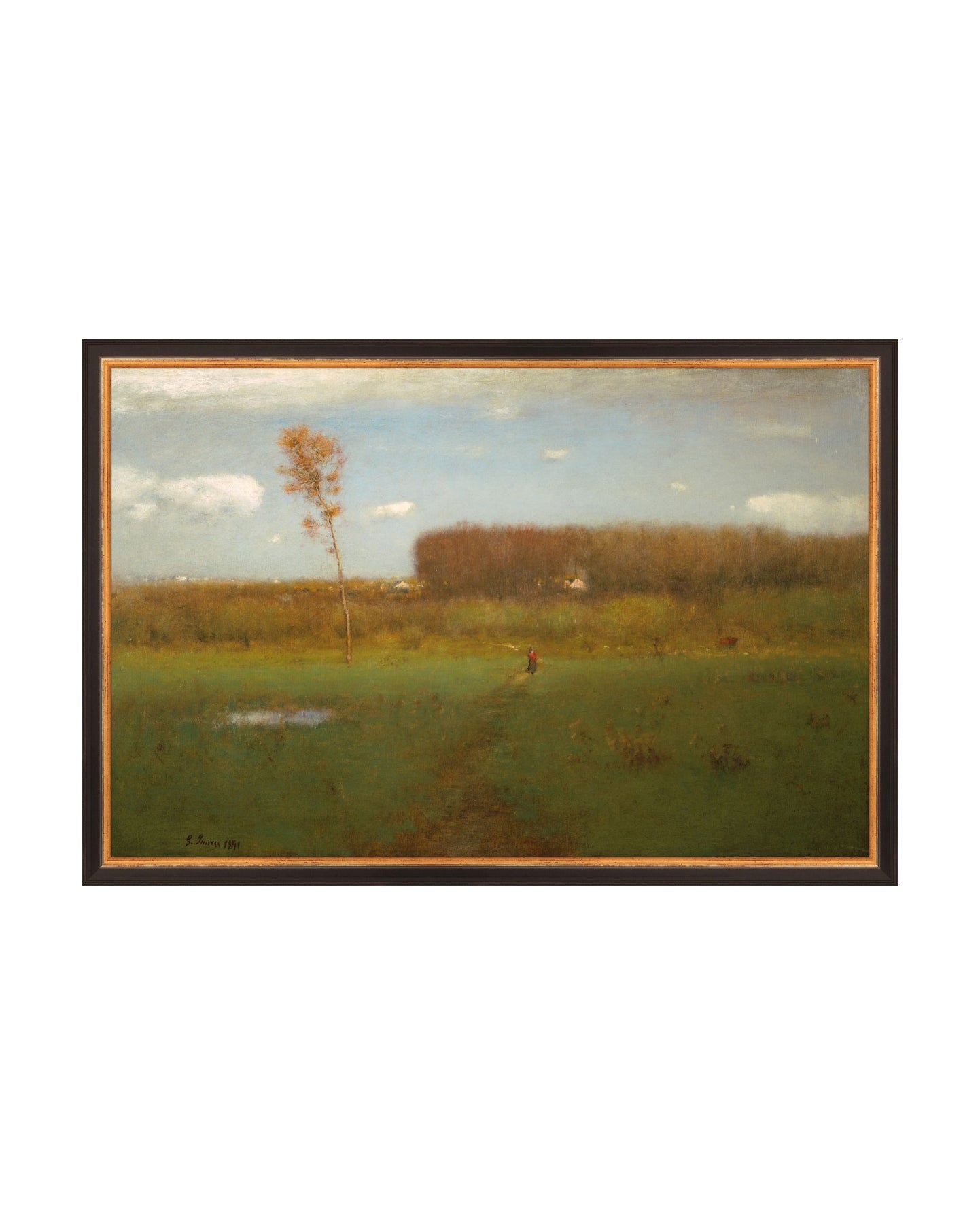 British Fields