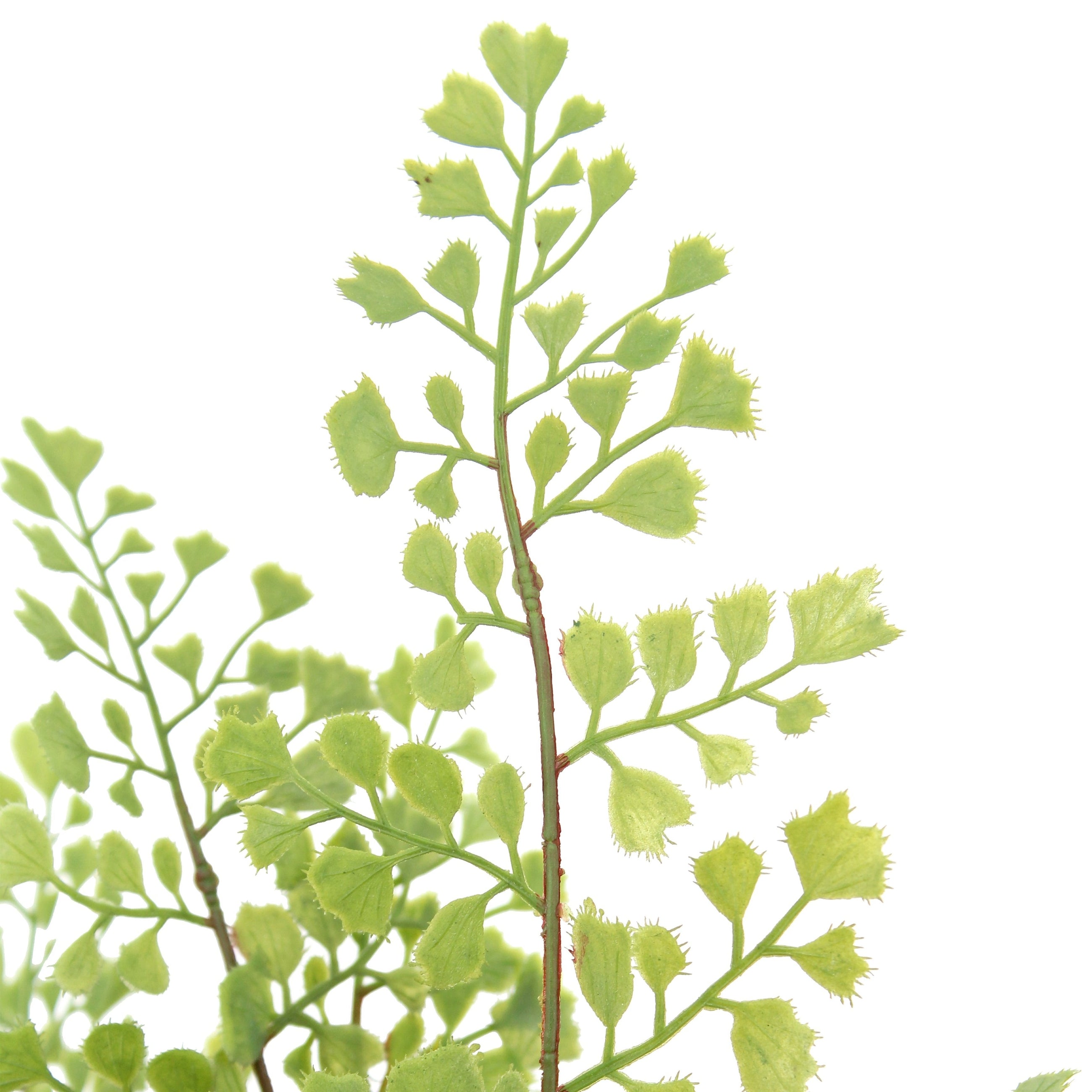 16" Artificial Snake Plant & Fern Set