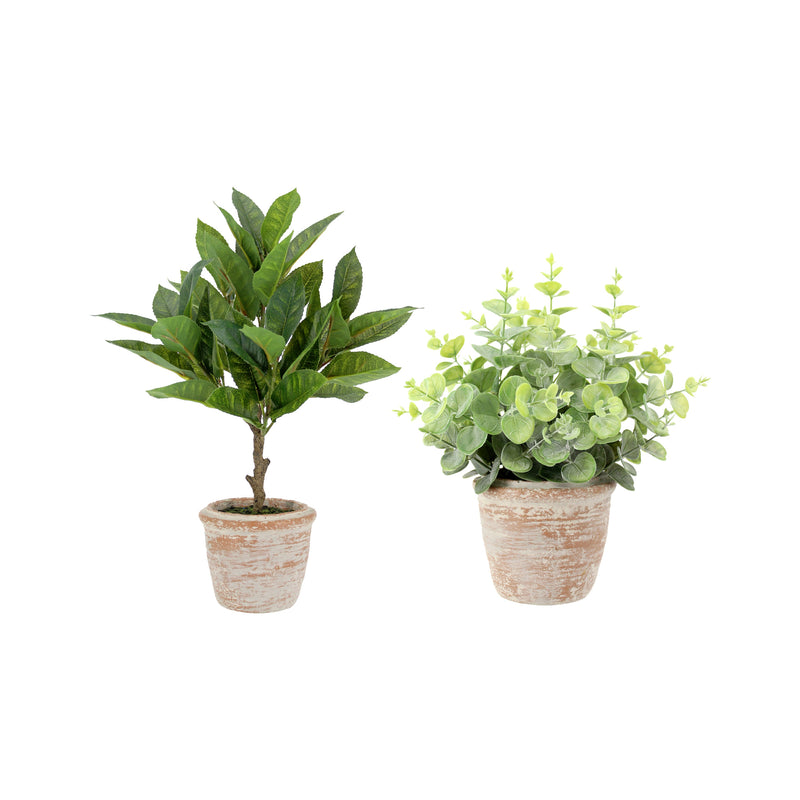 Artificial eucalyptus and citrus topiary set in terracotta pots