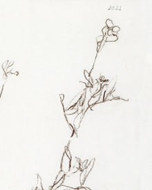 Botanical Study I