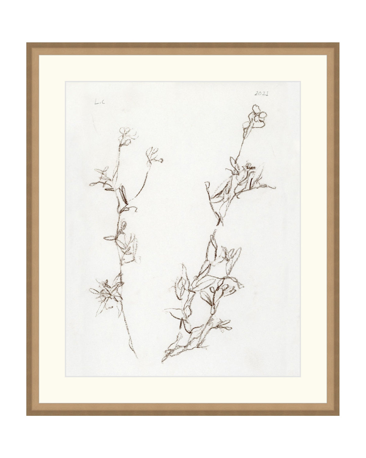 Botanical Study I