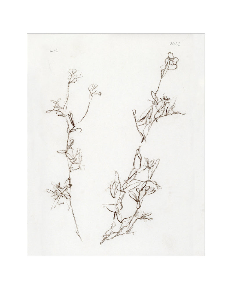 Botanical Study I