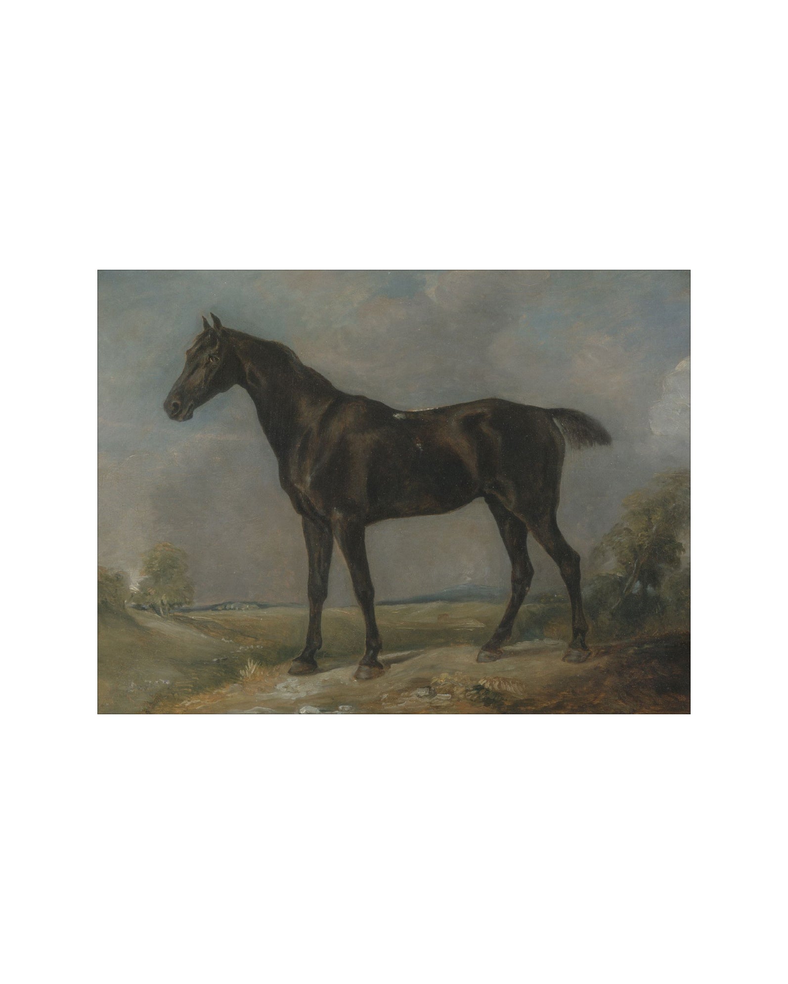 Study of a Horse II