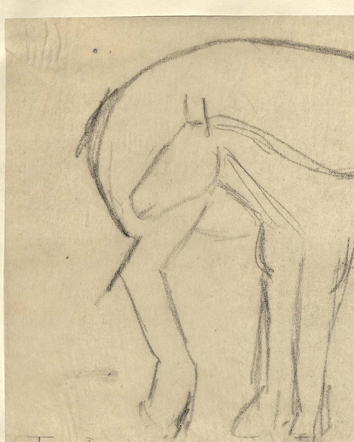 Mare and Foal