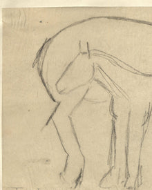 Mare and Foal