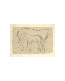 Mare and Foal