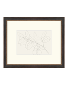 Lemon Branch Drawing