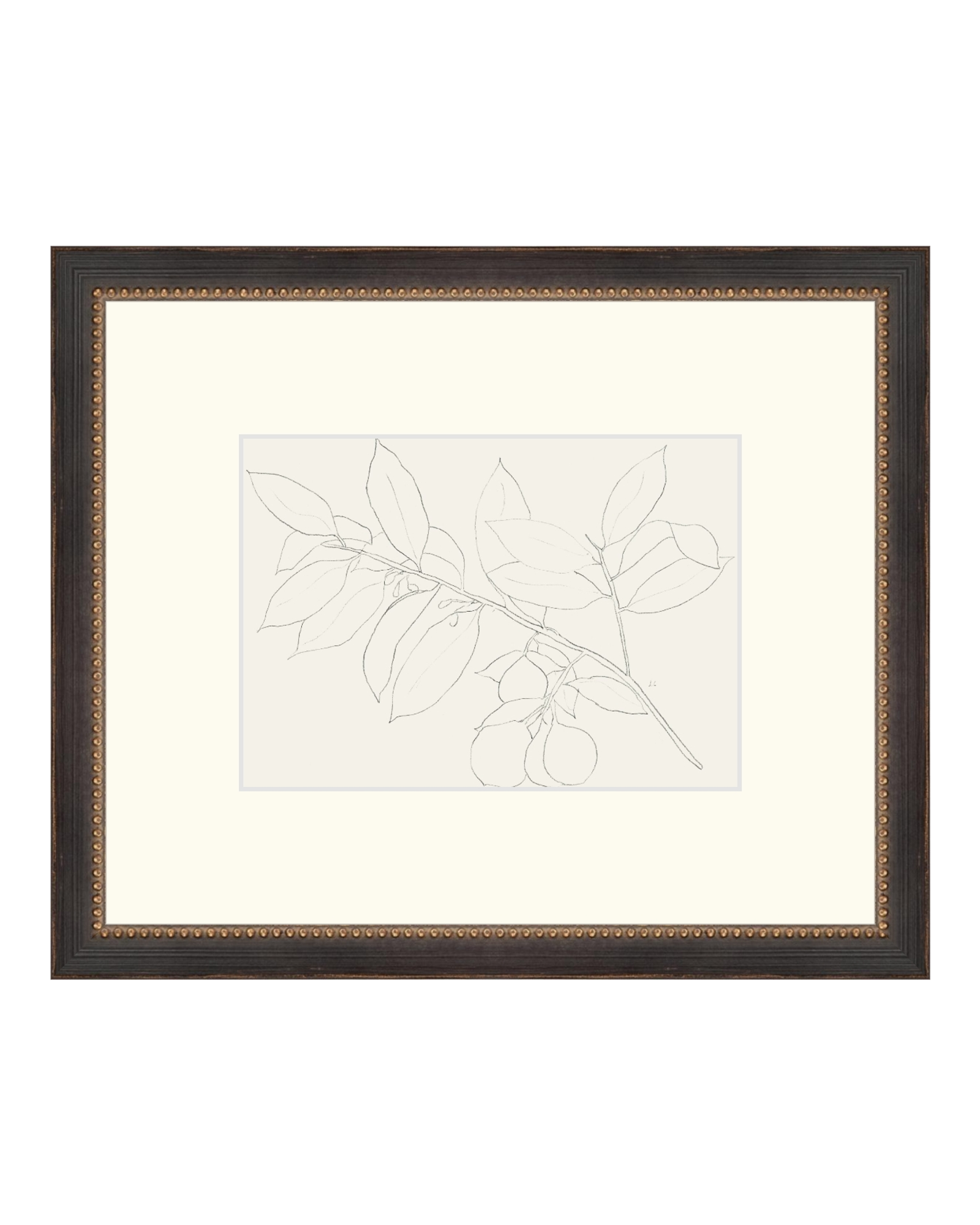 Lemon Branch Drawing