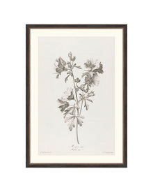 Floral Drawing