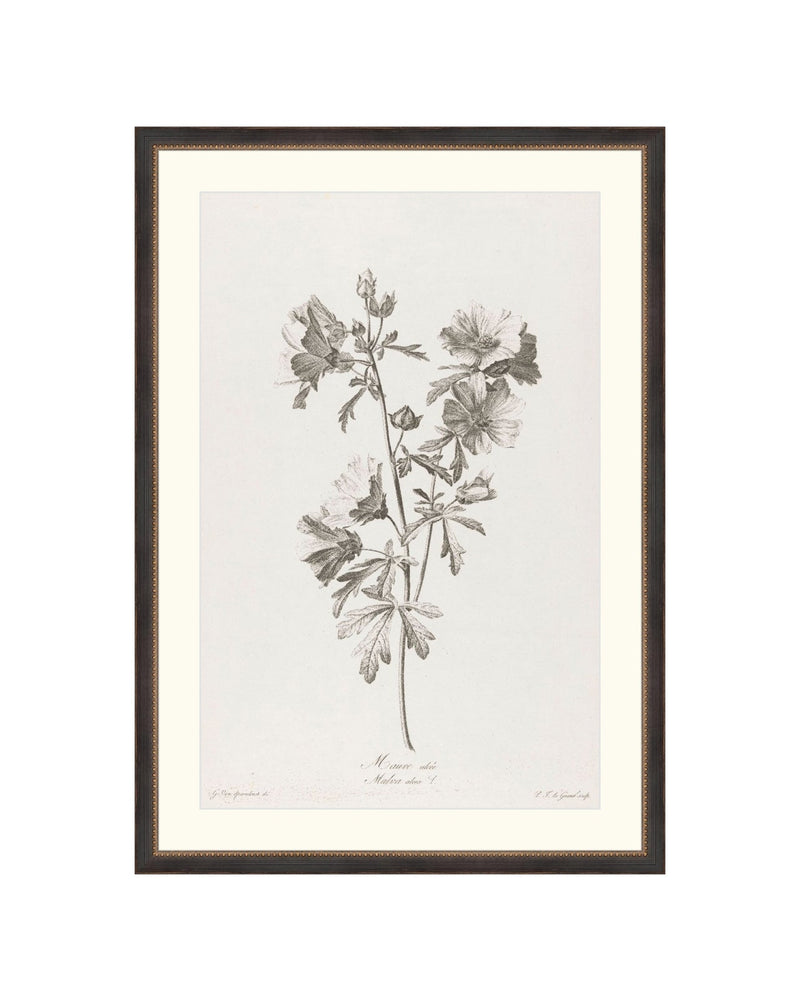 Floral Drawing