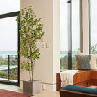 84" Artificial Heart Ficus Tree