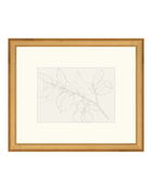 Lemon Branch Drawing