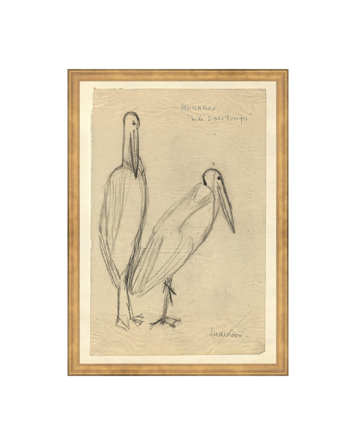 Bird Sketch