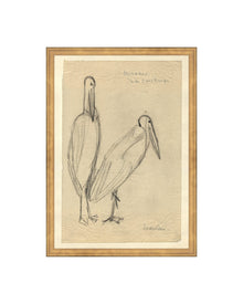 Bird Sketch