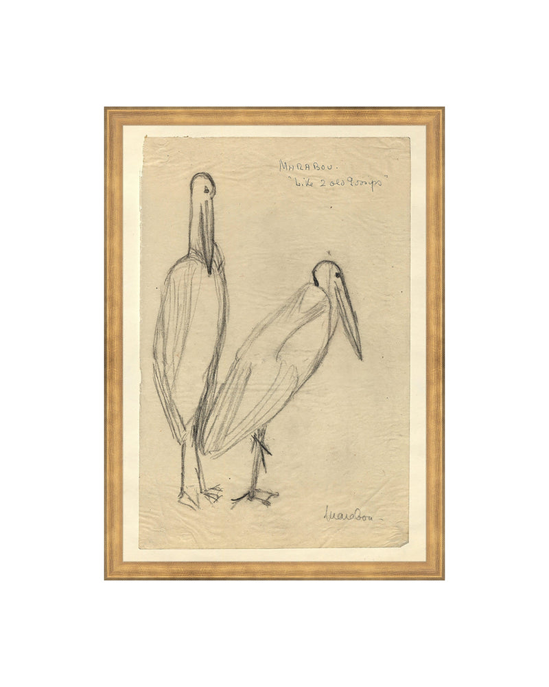 Bird Sketch