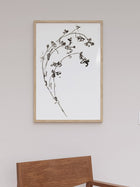 Botanical Ink Study I
