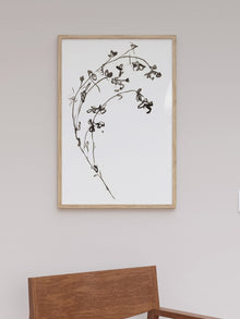 Botanical Ink Study I