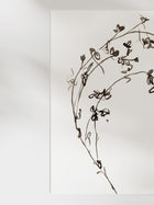 Botanical Ink Study I