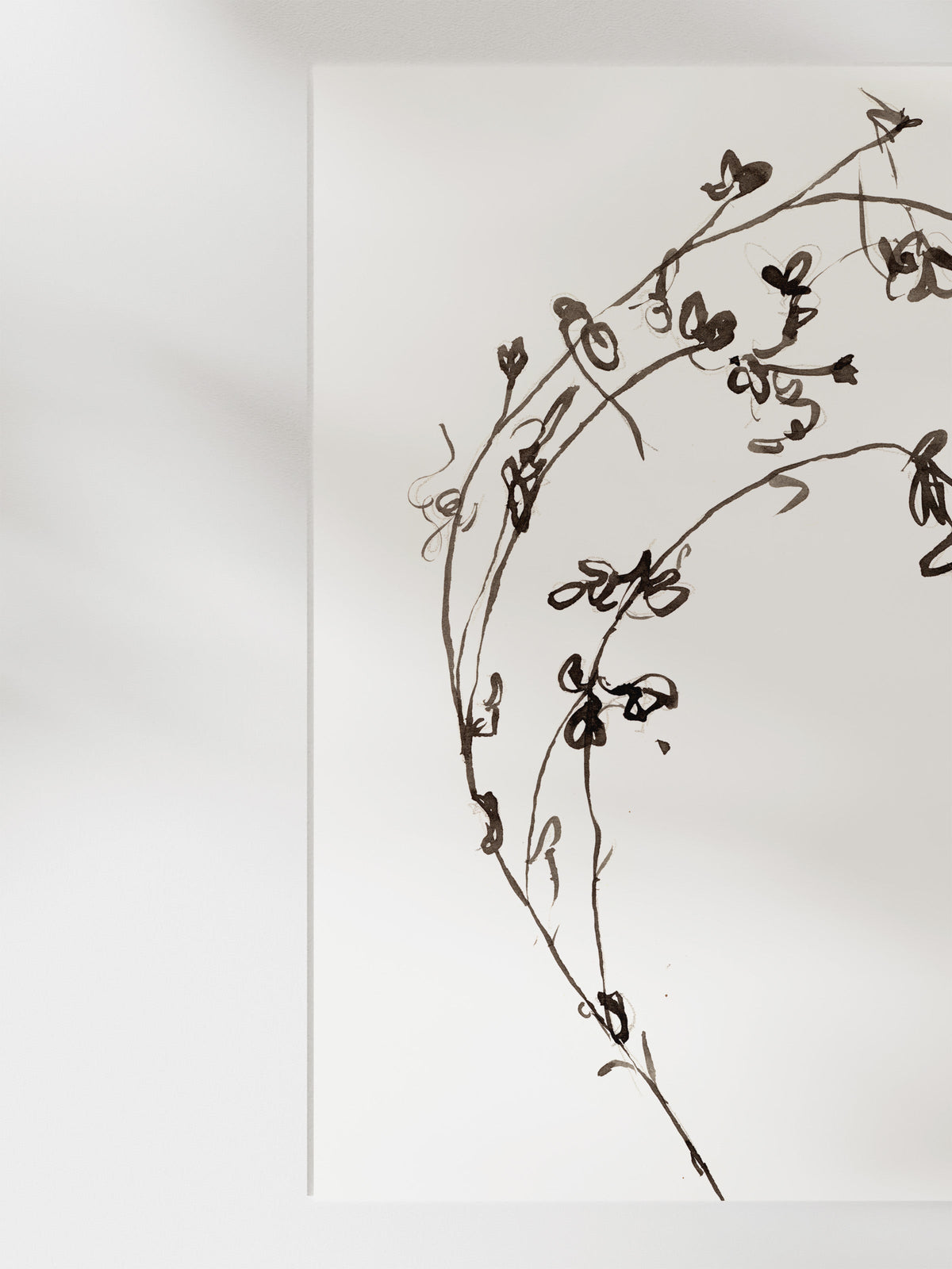 Botanical Ink Study I