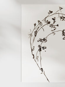 Botanical Ink Study I