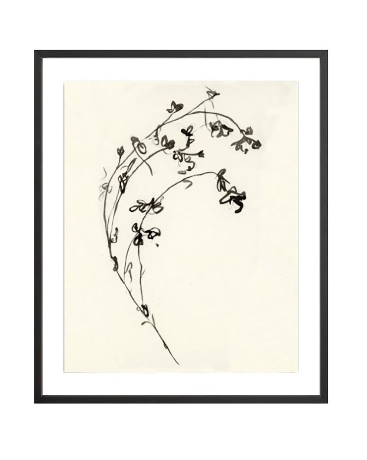 Botanical Ink Study I
