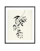Botanical Ink Study II