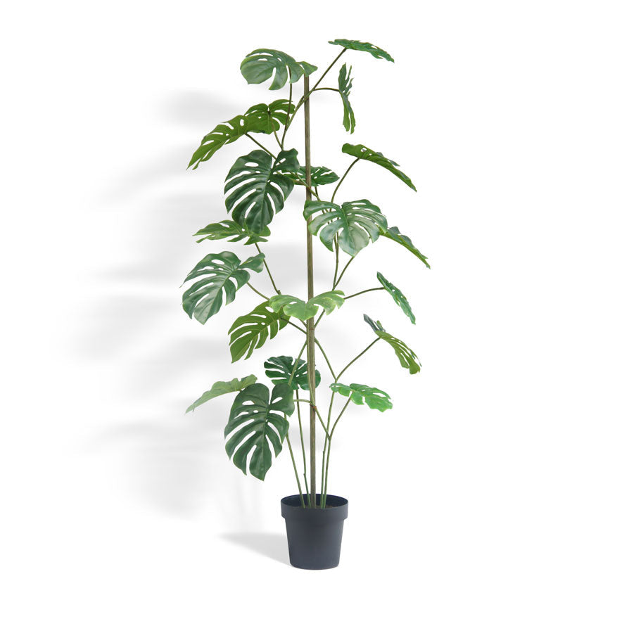 60 inch artificial Monstera tree with lifelike split leaves